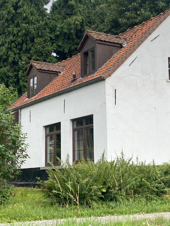 Perlefien Villa Zottegem Bagian luar foto