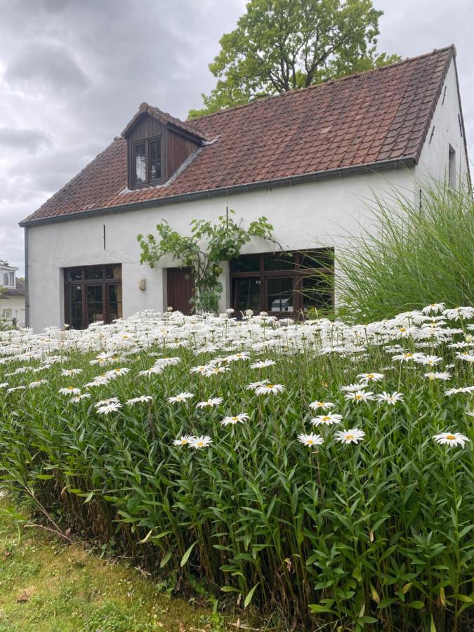 Perlefien Villa Zottegem Bagian luar foto